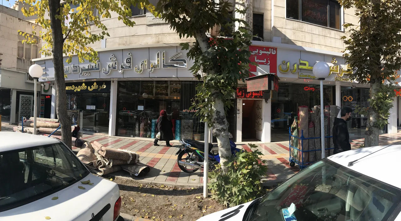 گالری فرش شیردست - تصویر 2