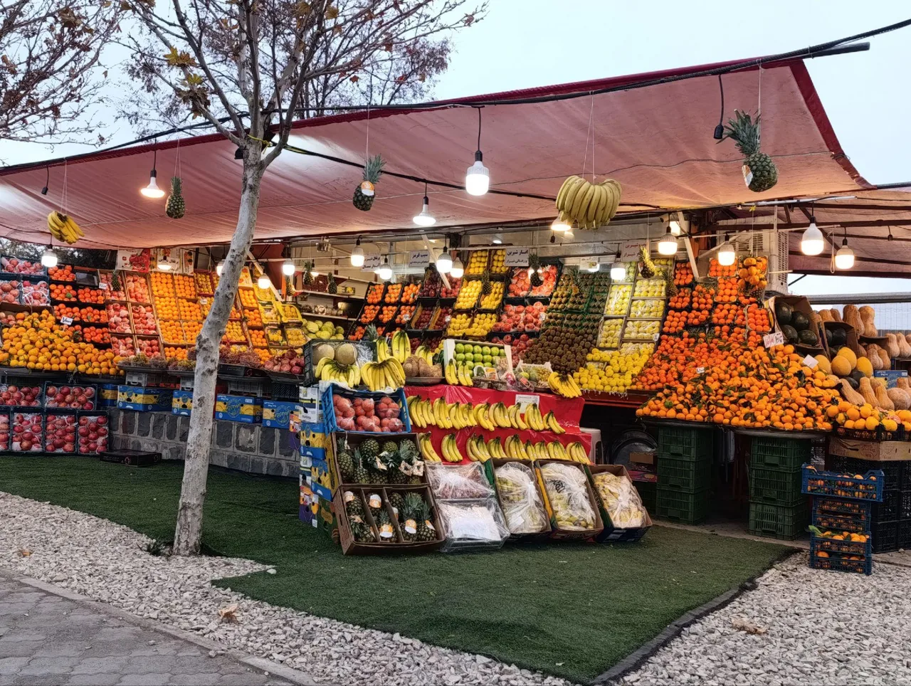 میوه سرا و نوبرانه احسان