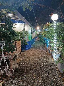 باغچه و جگرسرا پونه