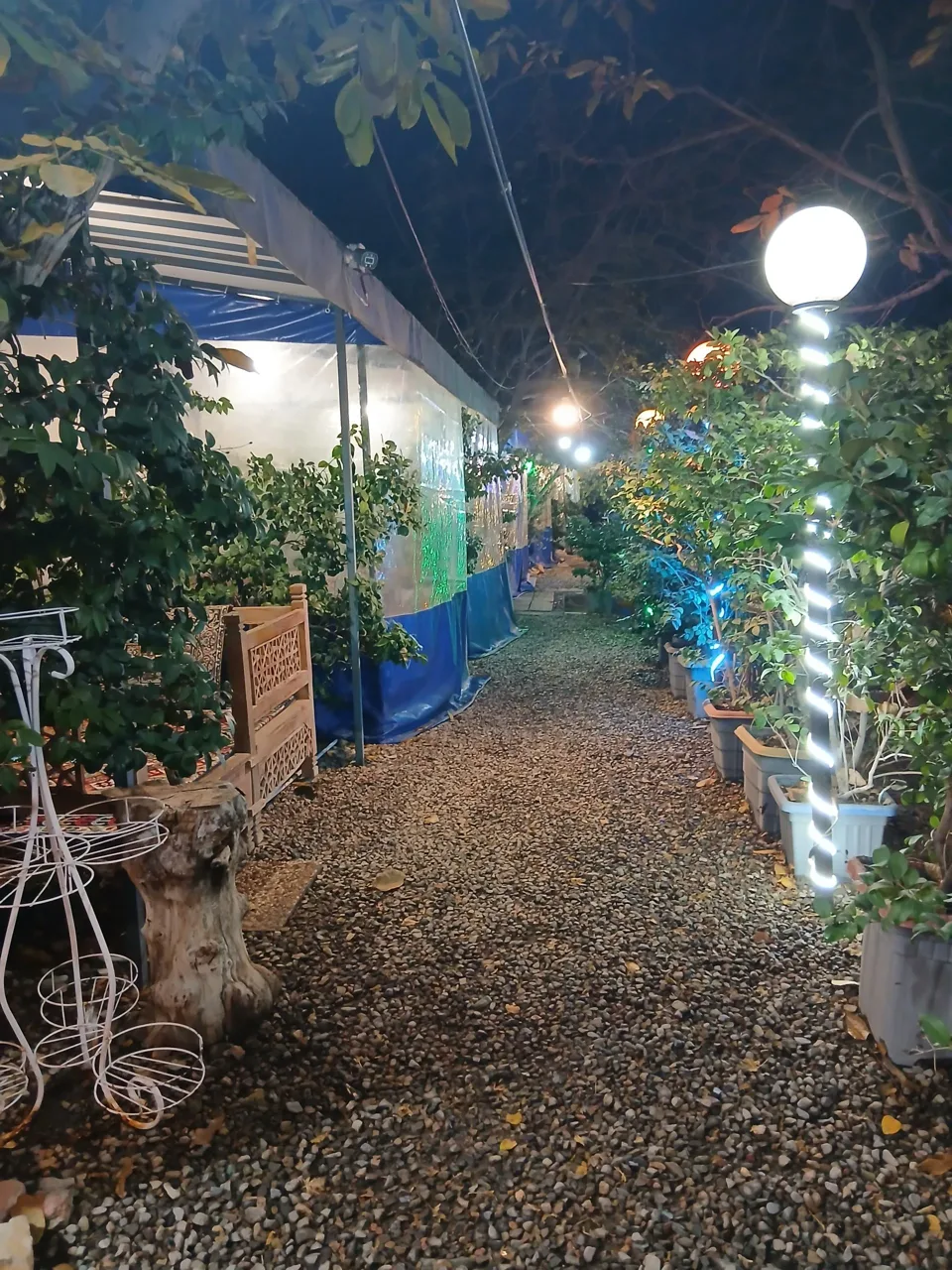 باغچه و جگرسرا پونه