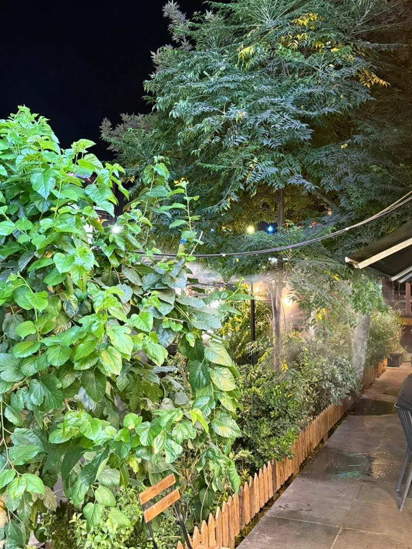 گریل باربیکیو - تصویر 3