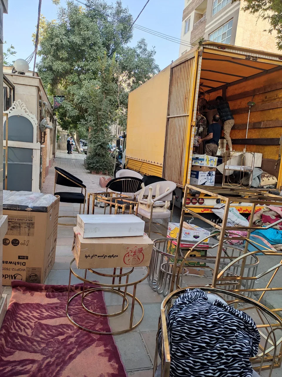 باربری امیر کبیر - تصویر 4
