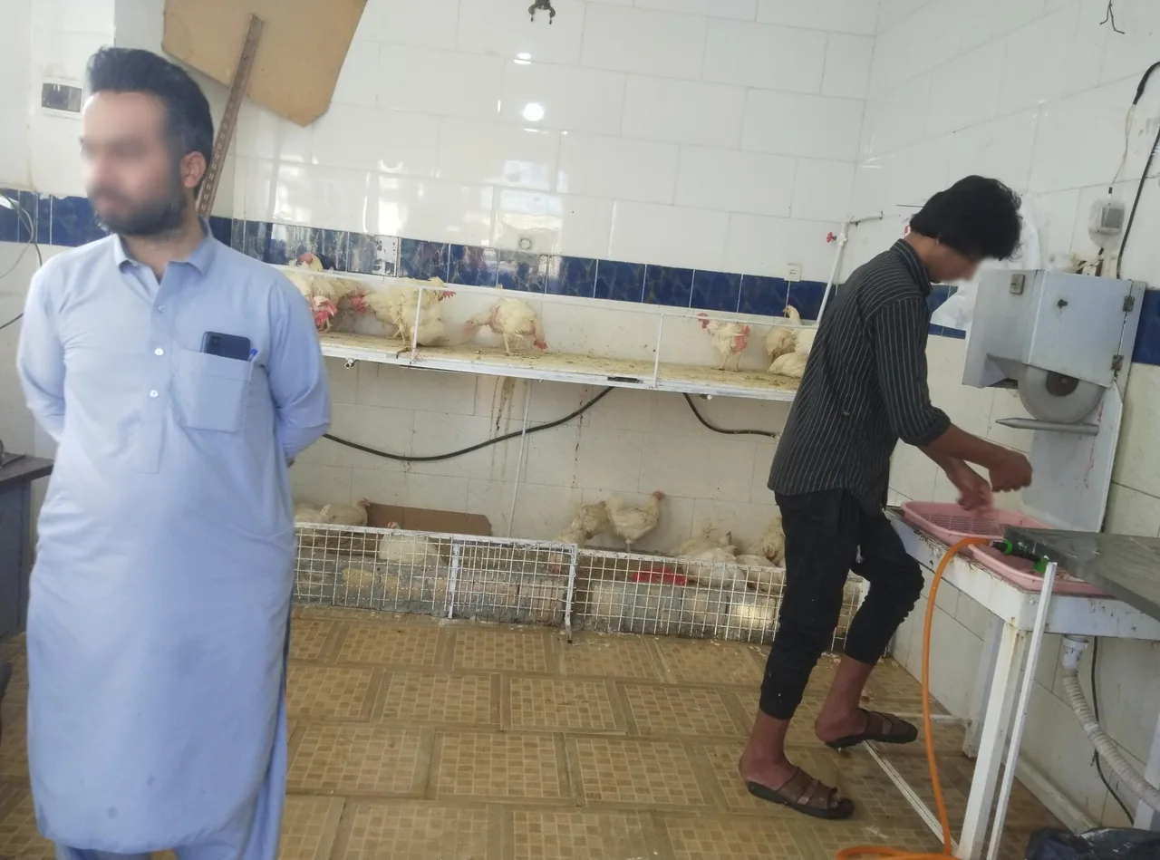 مرغ فروشی برادران کمالی - تصویر 2