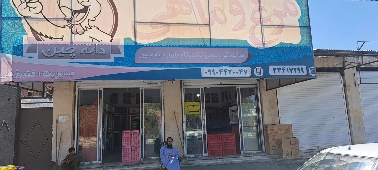 مرغ و ماهی دانه چین - تصویر 2