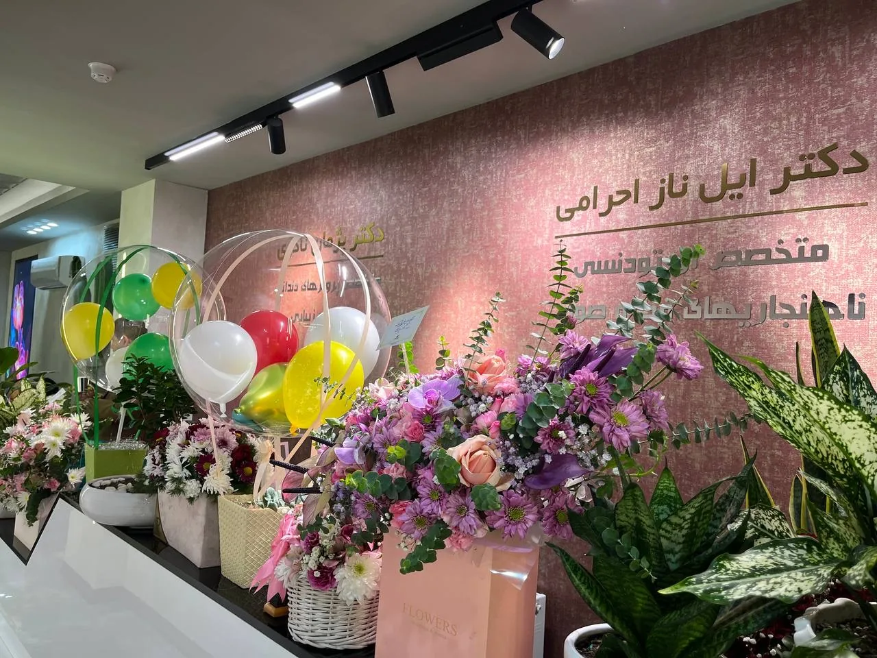 دکتر ایلناز احرامی متخصص ارتودنسی - پزشک عمومی در زنجان - تصویر 3