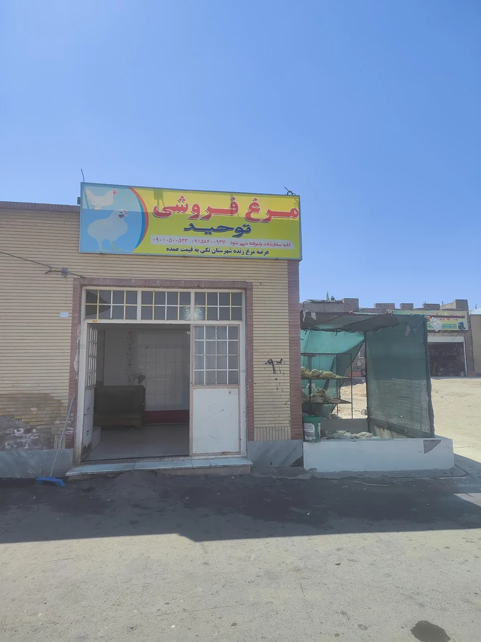 مرغ فروشی توحید