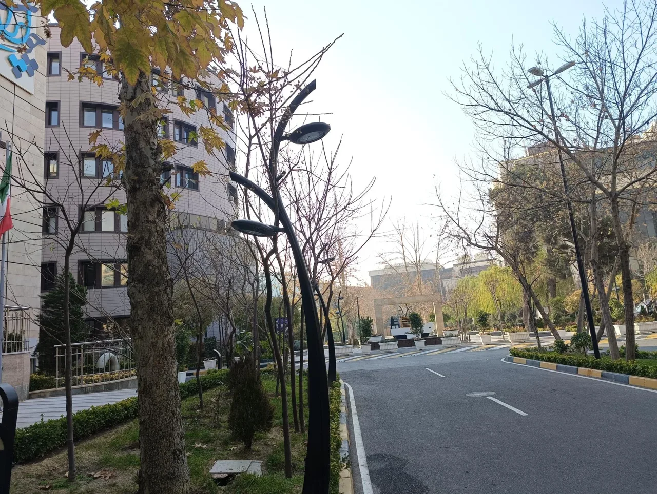 شرکت کشتیرانی جنوب-خط ایران - تصویر 4