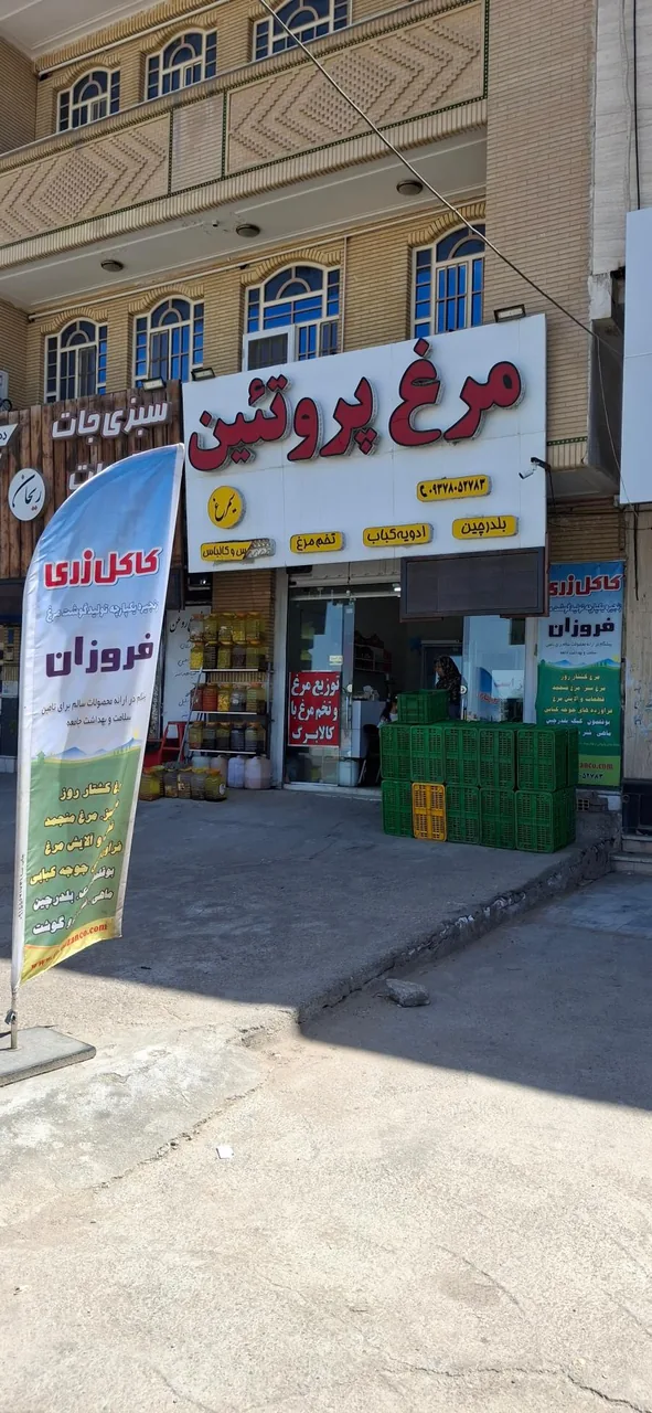 مرغ و پروتئین کاکل زری فروزان