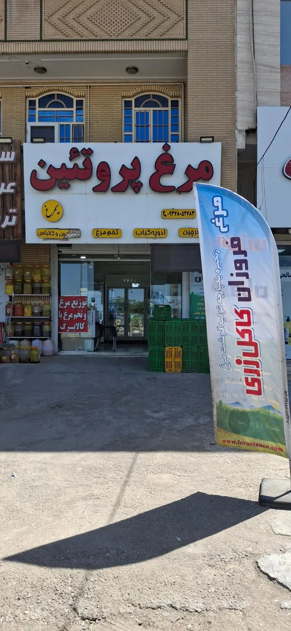 مرغ و پروتئین کاکل زری فروزان - تصویر 2
