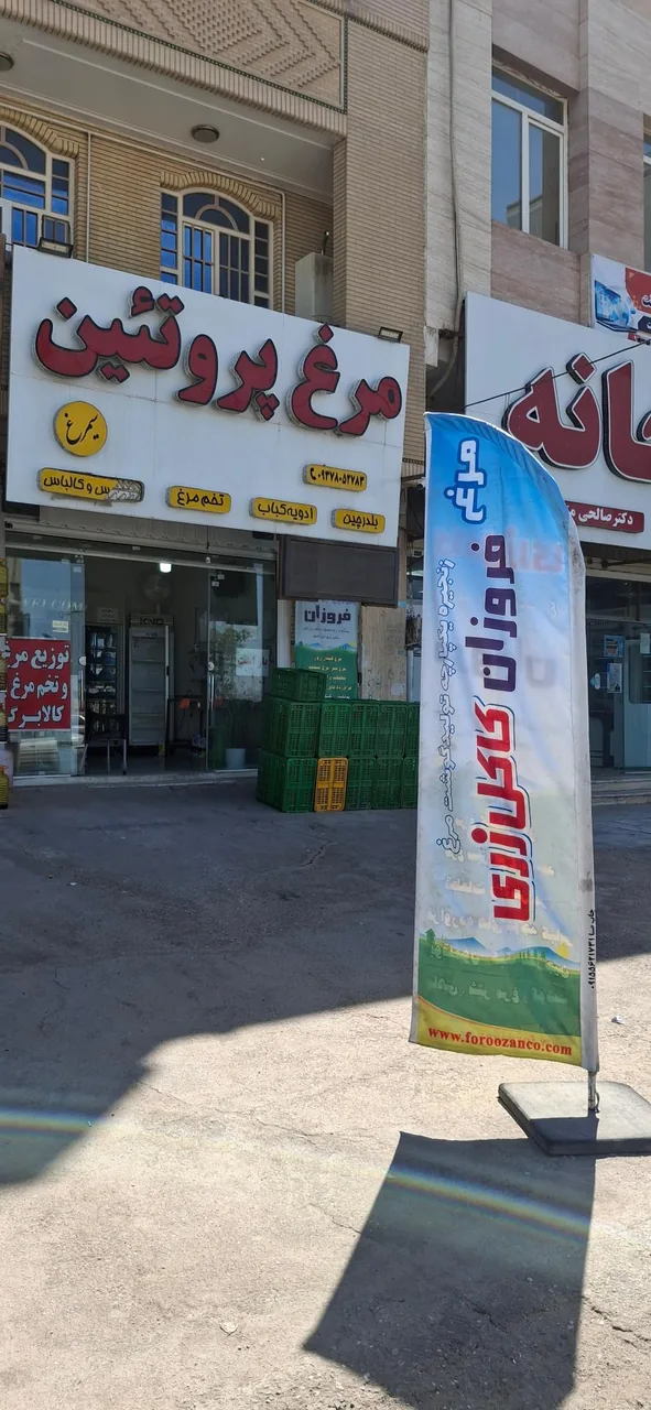 مرغ و پروتئین کاکل زری فروزان - تصویر 3