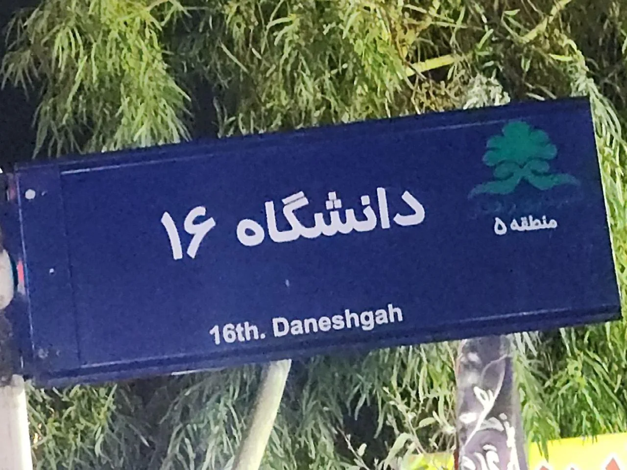 کافه قلیونی ویولا - تصویر 5