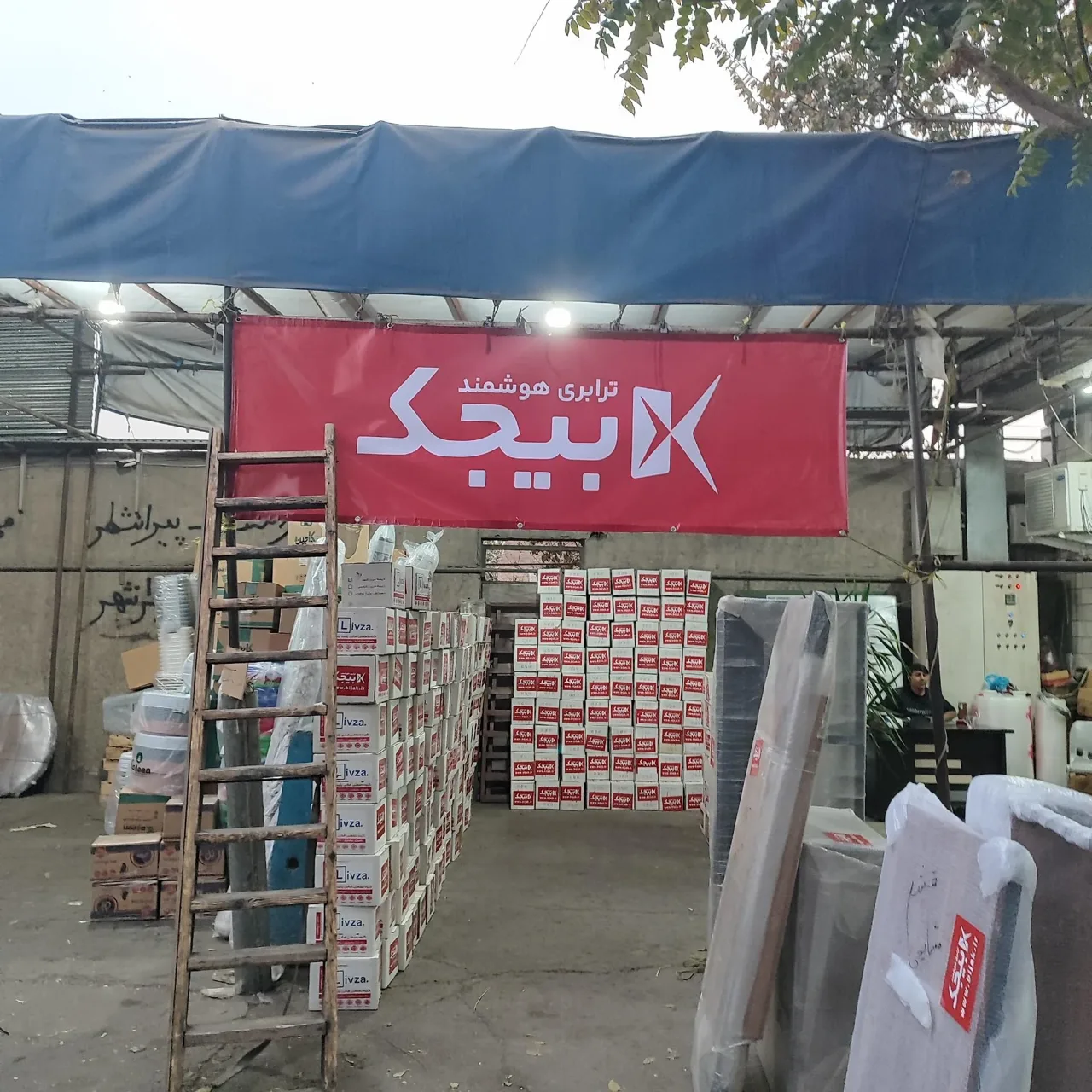 بیجک - تصویر 4