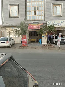 دزدگیر ردیاب میرشکار