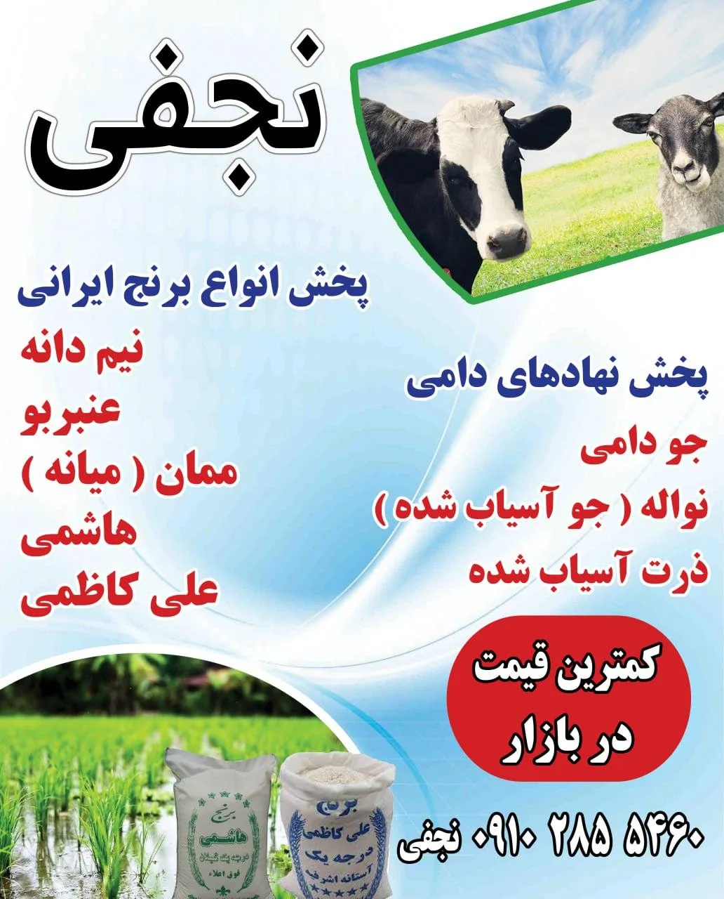 پخش برنج و نهاده دامی نجفی - تصویر 4