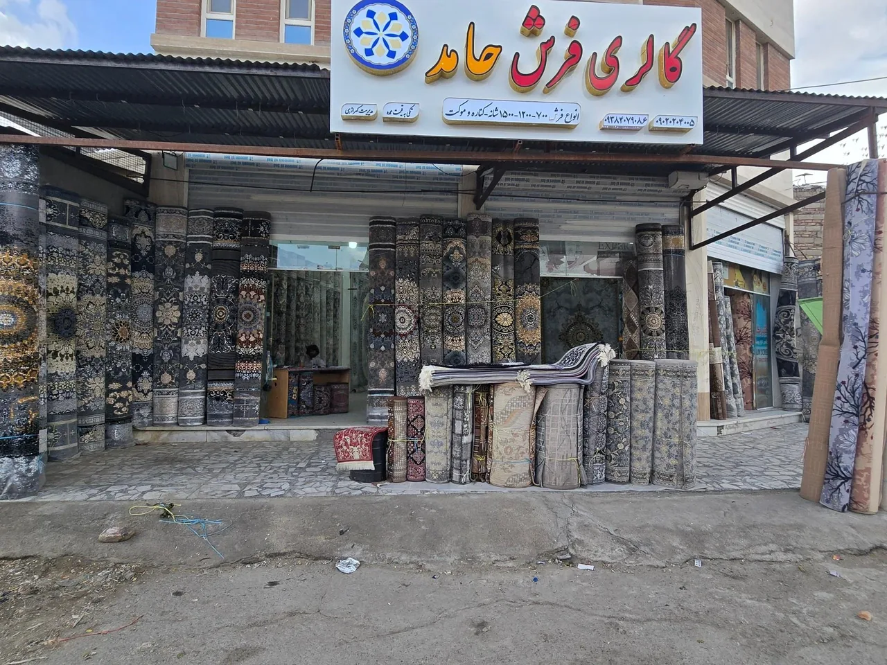 گالری فرش حامد