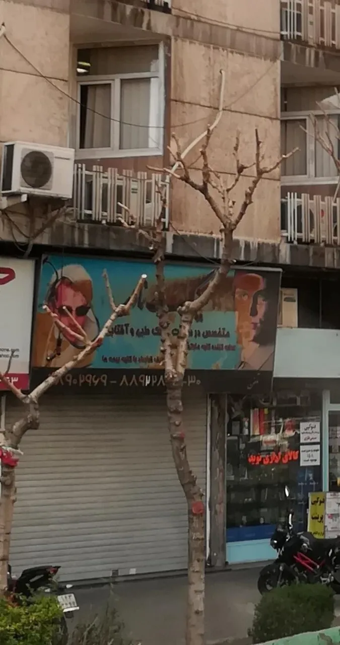 عینک نادر - عینک و اپتیک (طبی و فروش) در تهران - تصویر 4