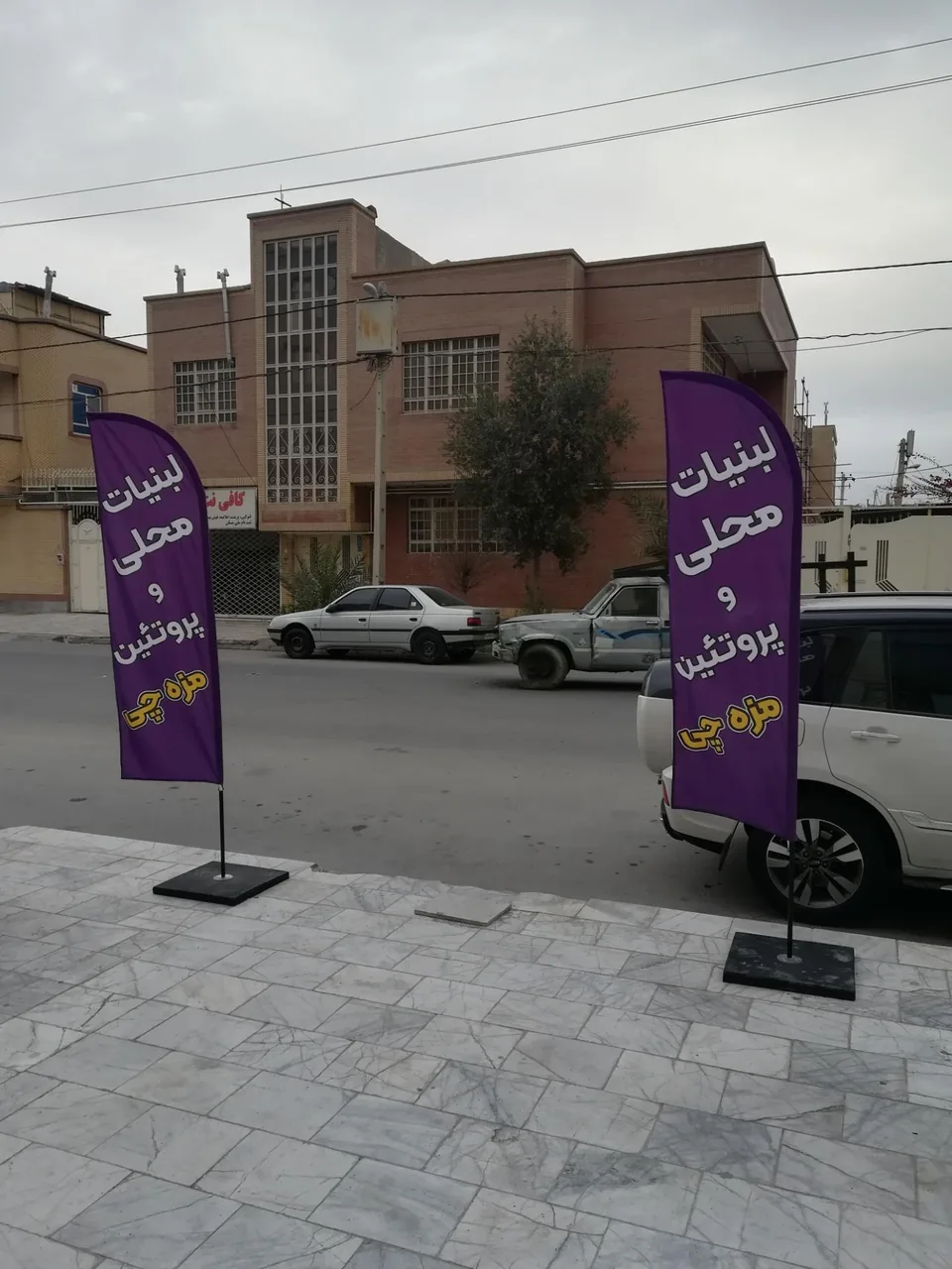 لبنیات و پروتئین مزه چی - تصویر 3