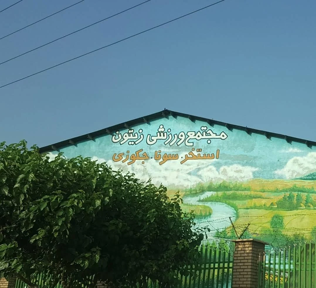 استخر زیتون - تصویر 3
