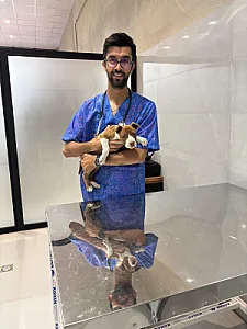 کلینیک دامپزشکی پت لند