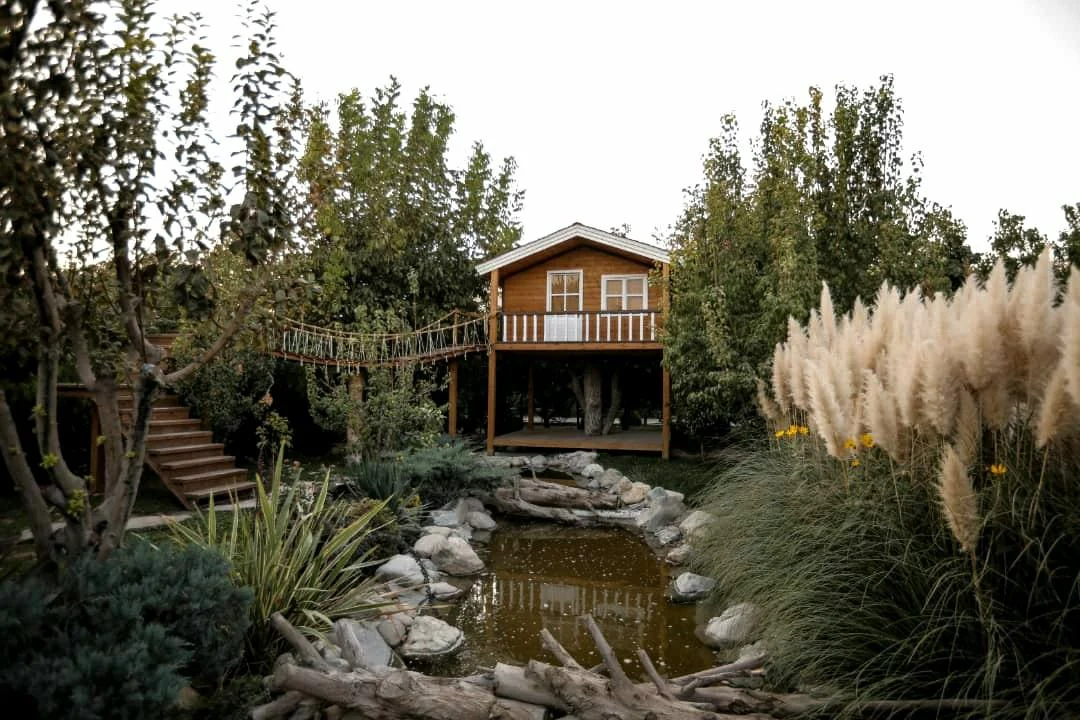 باغ عکاسی عمارت پرنسا - تصویر 5
