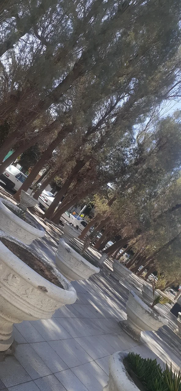 بیمارستان حضرت نبی اکرم (ص) - تصویر 5