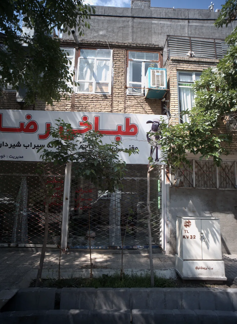 طباخی رضا - تصویر 2