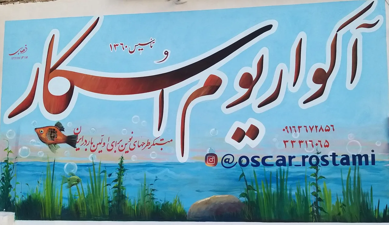 آکواریوم اسکار