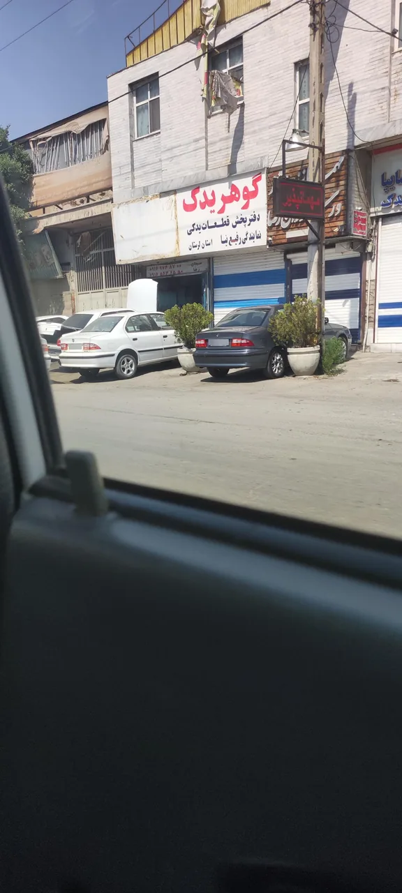گوهر یدک شریعتی - تصویر 2