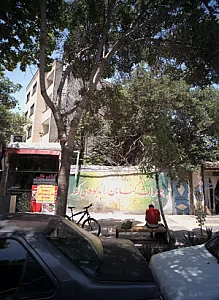 کباب علی
