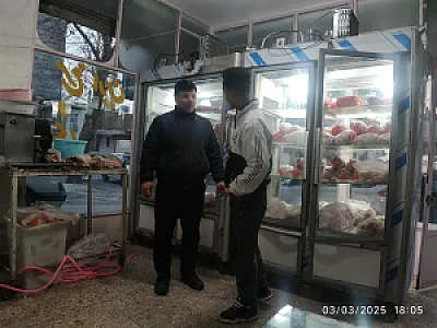 عمده فروشی مرغ آرین