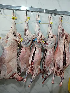 سوپر گوشت امیدی