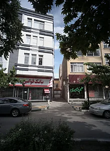 حلیم شادیاخ
