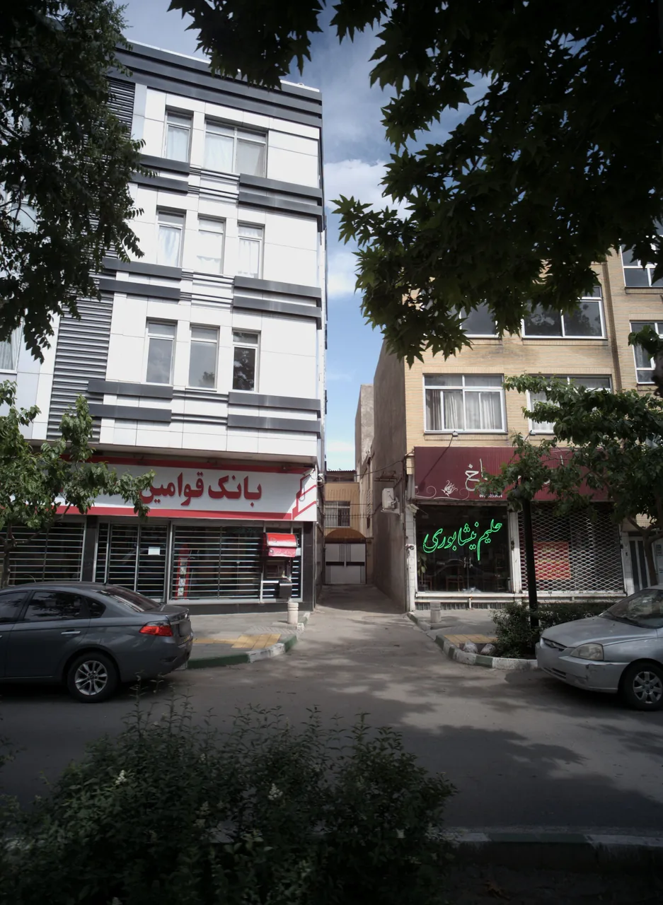حلیم شادیاخ