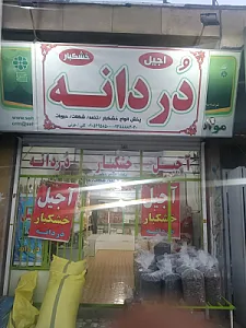 اجیل دردانه