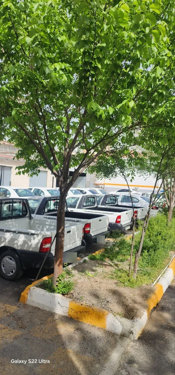 نمایندگی سایپا شیر علی نیا کد 5864 - تصویر 2