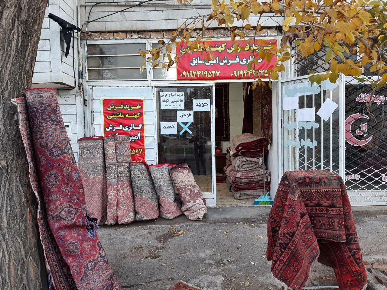 فرش امین - فرش و موکت در زنجان