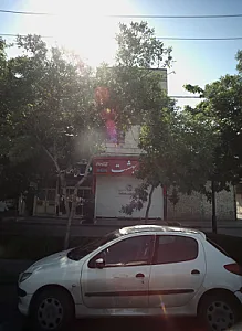 چلو کباب بهشت