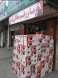 پخش خرما کرمی