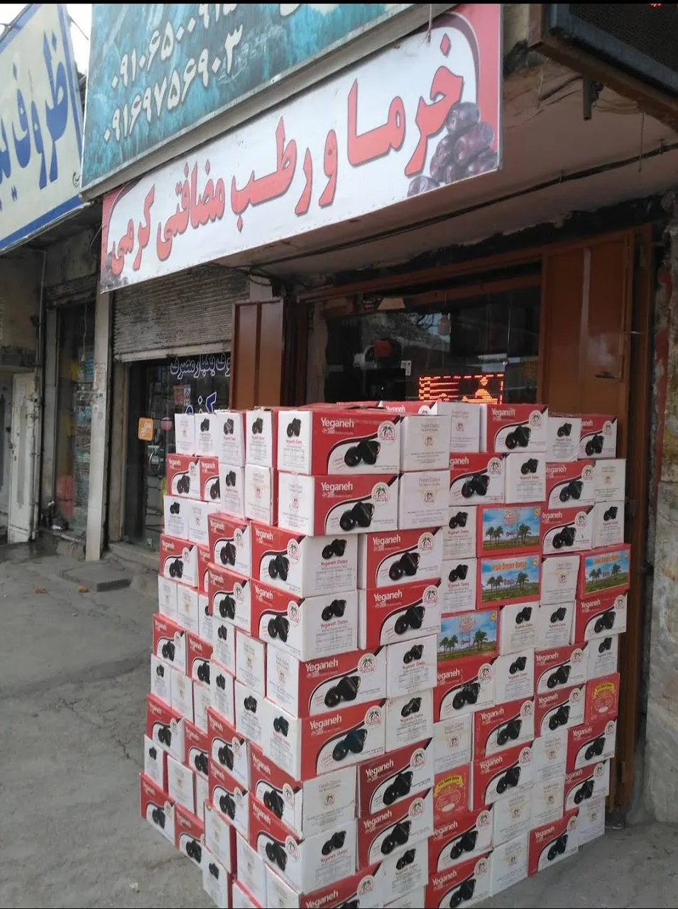 پخش خرما کرمی