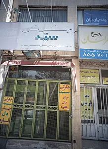 جگرکی سید