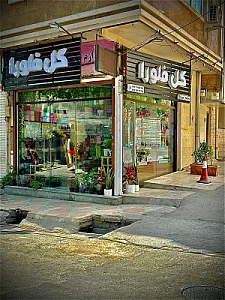 گل فلورا