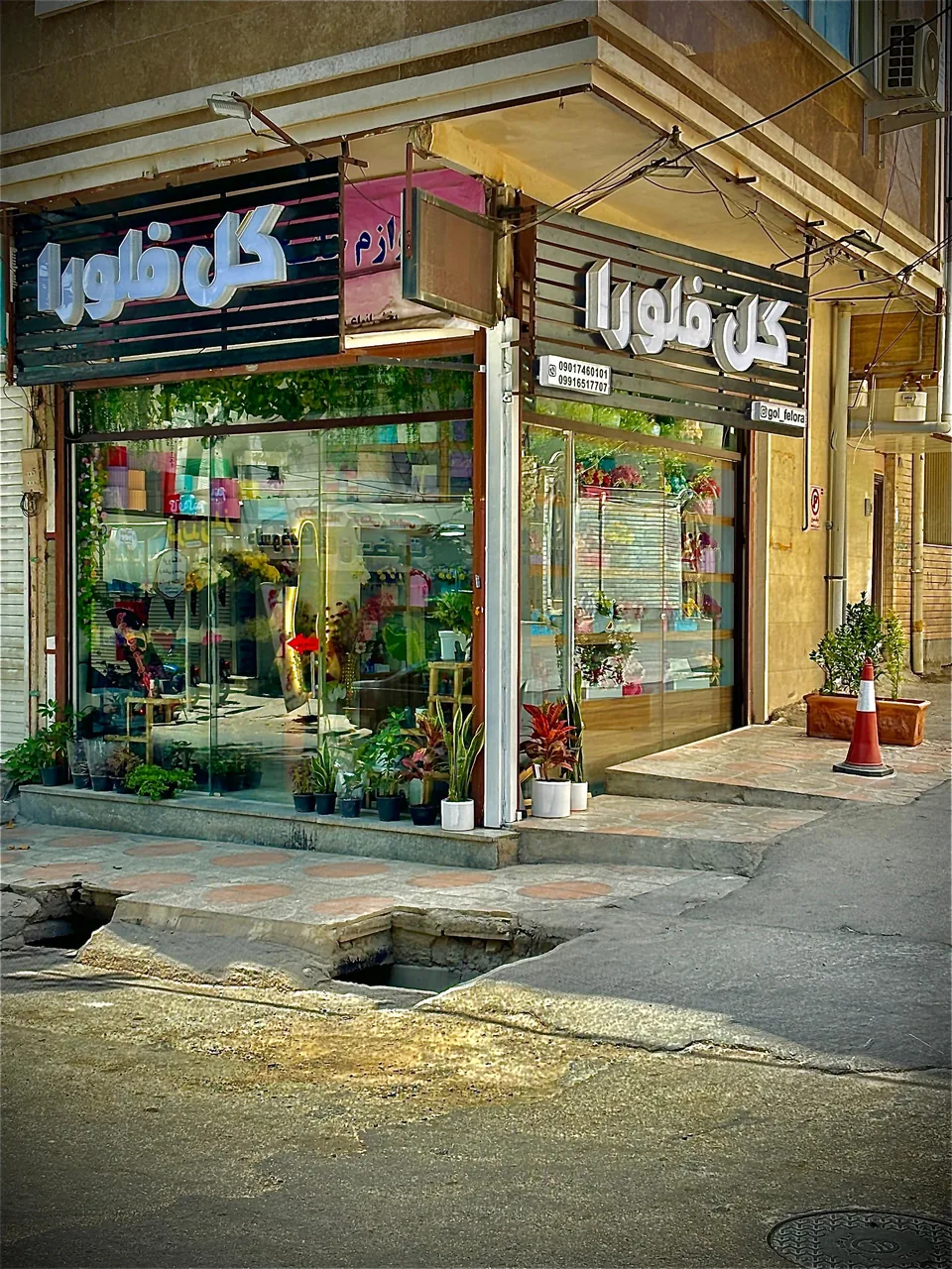 گل فلورا