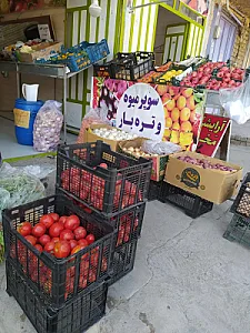 میوه فروشی محمدی