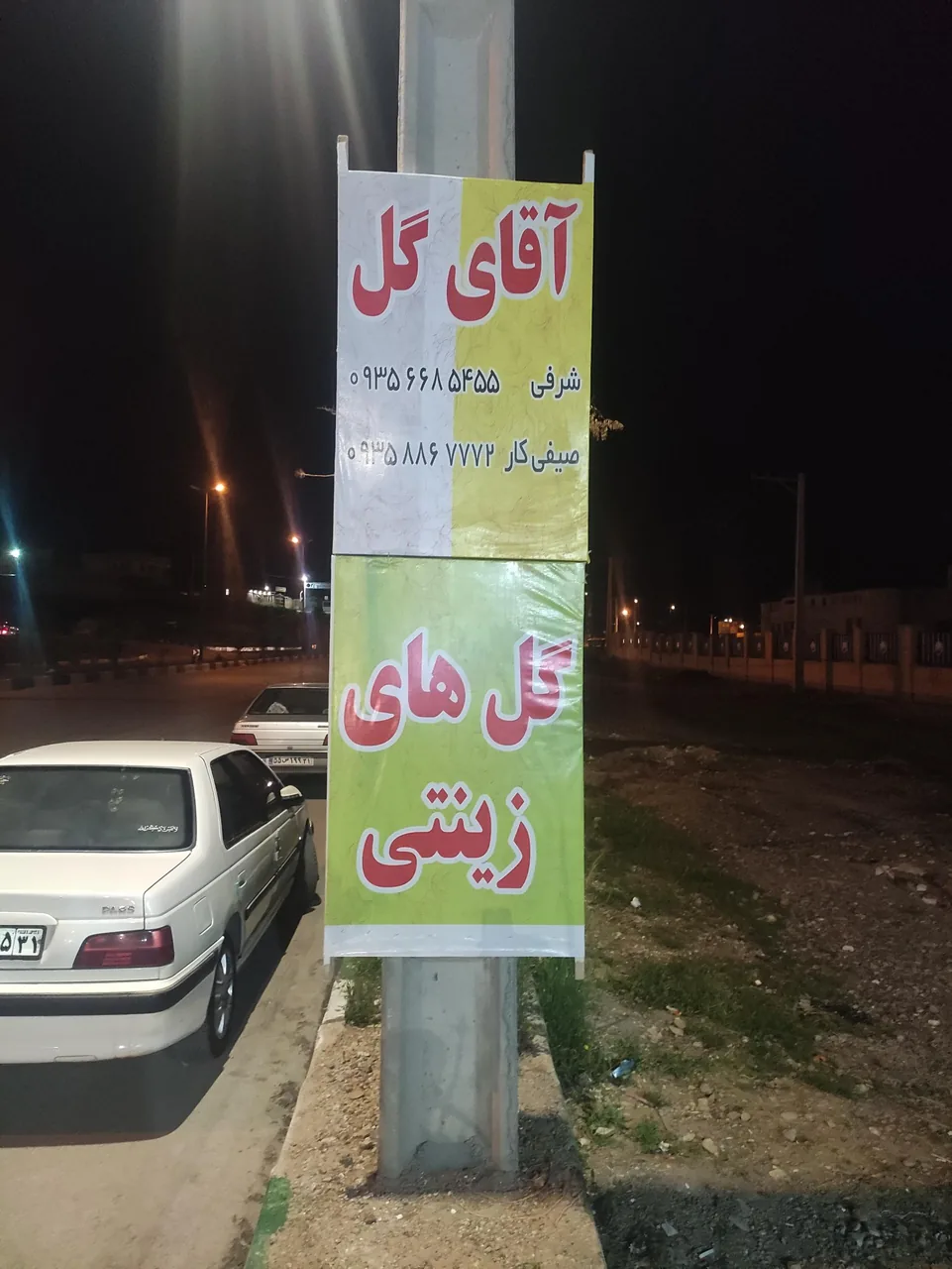 گلخانه آقای گل - تصویر 2