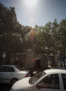 طباخی سیراب شیردان چهار فصل