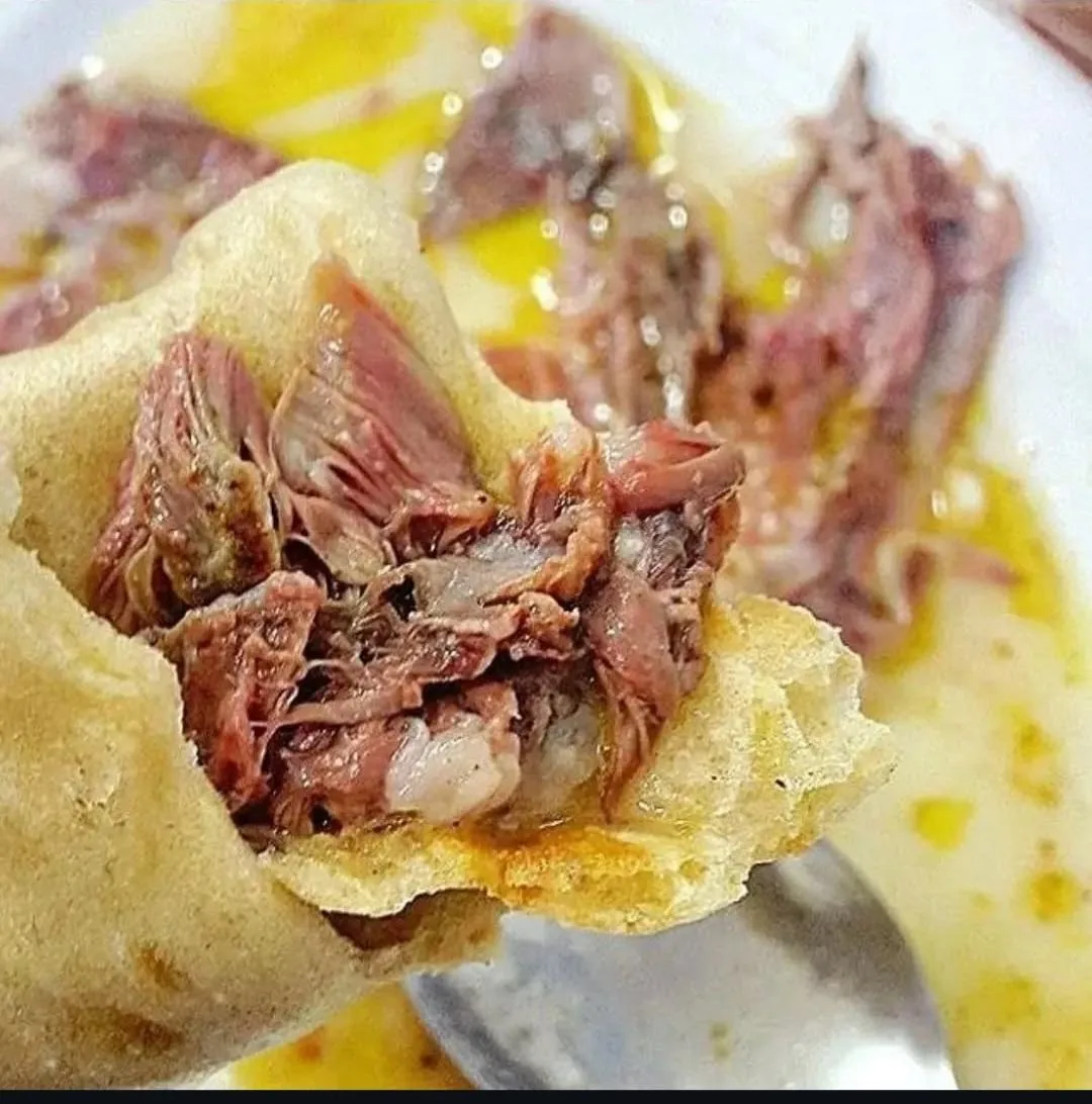 طباخی سفید بره - تصویر 2