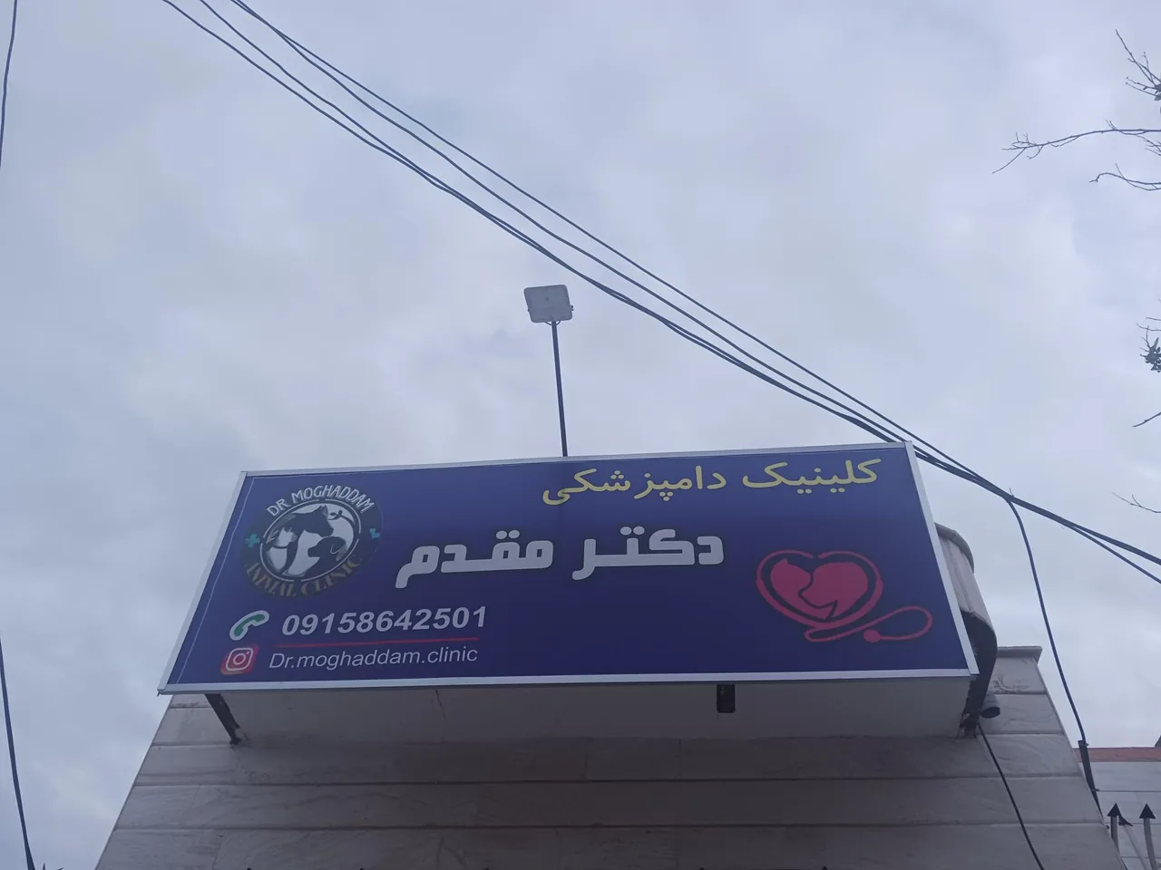 کلینیک دامپزشکی دکتر مقدم