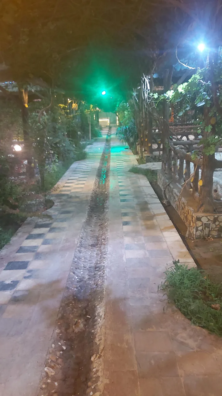 ائل گولی - تصویر 2