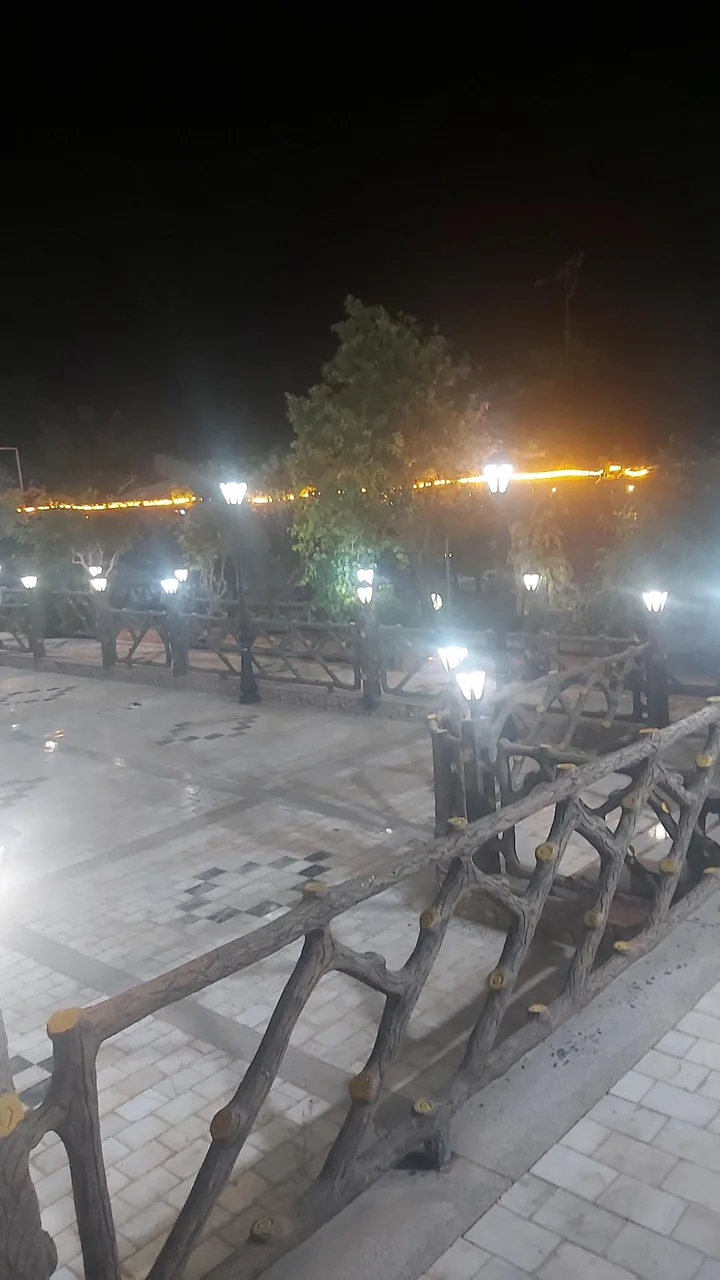 ائل گولی - تصویر 3