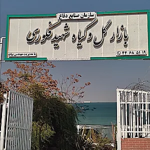 بازار گل و گیاه فکوری